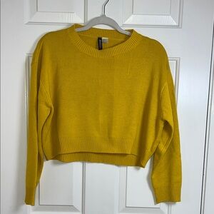 Divided Yellow Crew Neck Cropped Sweater‎